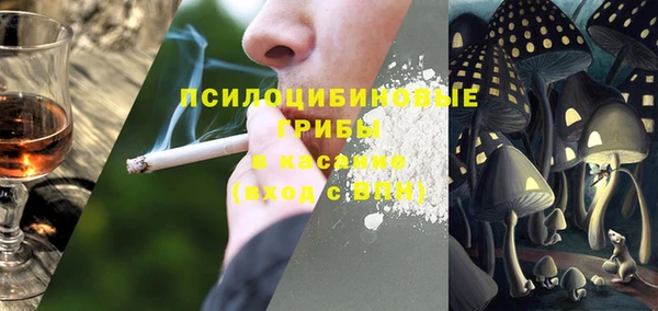 трава Алзамай