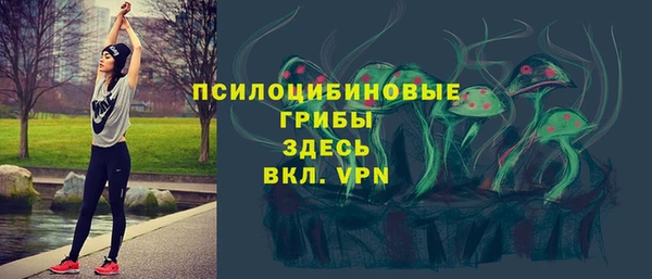 первитин Алексеевка